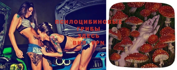 прущая мука Абинск