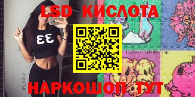 шишки Жуковский