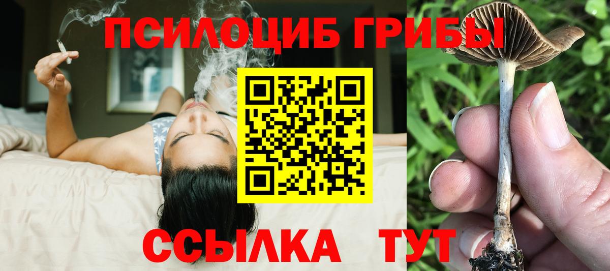 Норильск  Псилоцибиновые грибы прущие грибы  Вход с VPN 